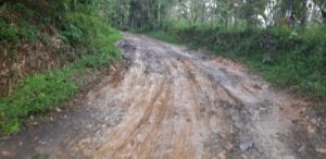 Kondisi Jalan rusak di desa mandalamekar kecamatan jatiwaras