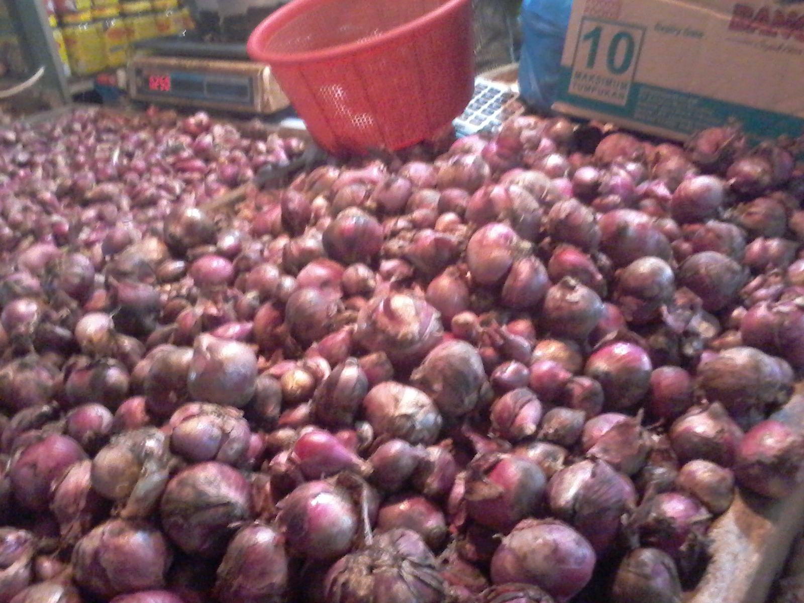 bawang-merah