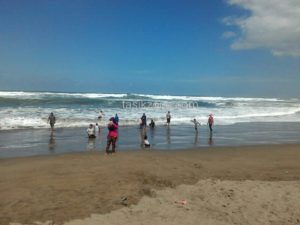 pantai Cipatujah Tasikmalaya