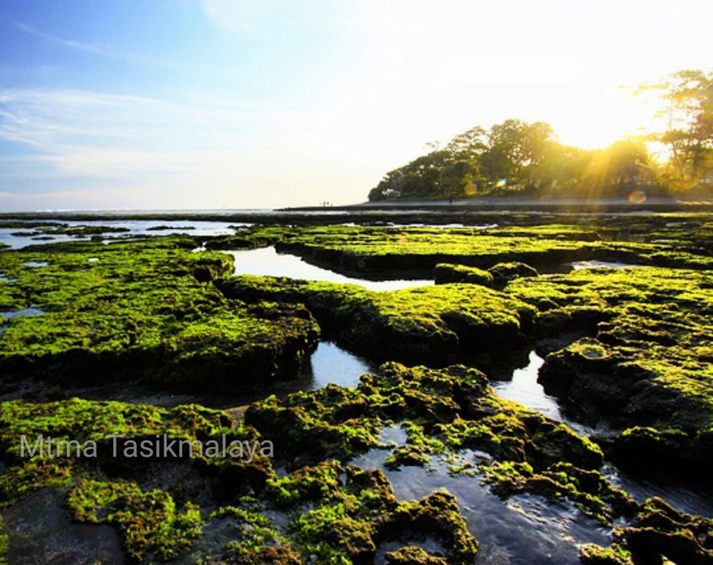 Pantai Taman Lengsar Sindangkerta Tasikmalaya