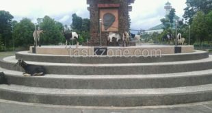 Depan Kantor Bupati, Tempat Yang Nyaman Kongkow 'Kambing'