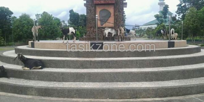 Depan Kantor Bupati, Tempat Yang Nyaman Kongkow 'Kambing'