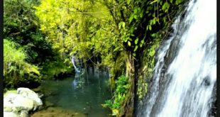 Ada Curug Dawuan Di Wisata Tasikmalaya