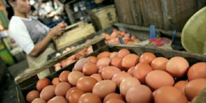 Harga Telur Terus Naik, Pemkot Rencanakan Operasi Pasar