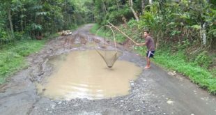 Viral!! Protes Jalan Rusak, Netizen Upload Jalan Dijadikan Tempat Menjala Ikan