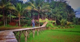 Pasir Pataya Wisata Alam Terbaru Di Kota Tasikmalaya