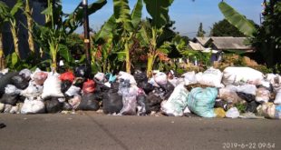 Tumpukan Sampah Di Desa Cisayong Tidak Diakut Khawatir Timbulkan Penyakit