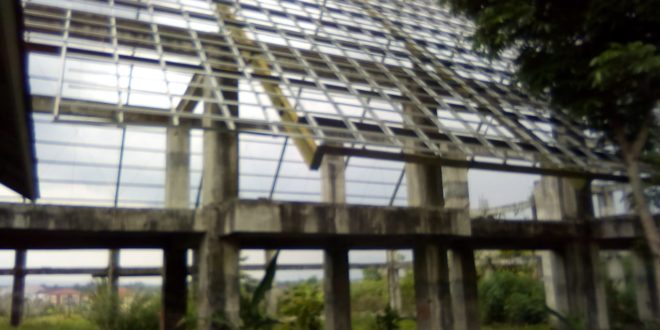 IMG-20191114-WA0015