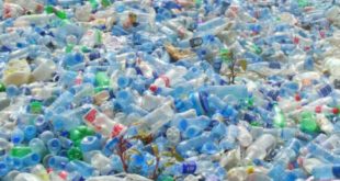 Selamatkan Bumi Dengan Diet Sampah Plastik, Mulai Sekarang