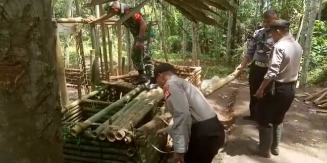 Di Ciawi Tempat Adu Bagong Dibongkar