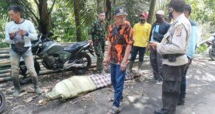 Terbawa Arus Pengunjung Wisata Curug Batu Black Ditemukan Meninggal