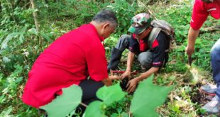 Bukti Cinta Lingkungan PDI-Perjuangan Kota Tasikmalaya Konsisten Lakukan Penanaman Pohon
