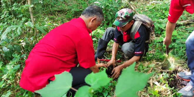 Bukti Cinta Lingkungan PDI-Perjuangan Kota Tasikmalaya Konsisten Lakukan Penanaman Pohon