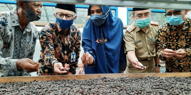 Pemkab Tasik Siapkan MPIG Dengan Nama Kopi Arabika Java Sukapura Tasikmalaya