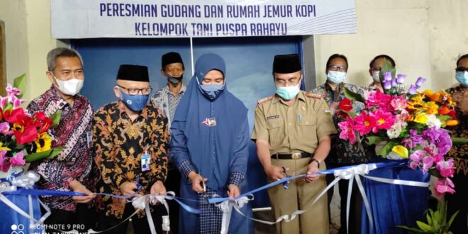 Siti Mufatahah Sosok Dibalik Suksesnya Kopi Cigalontang Ekspor Ke Benua Eropa