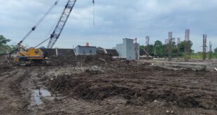 IMG_20220318_104311