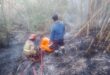 Gerak Cepat Damkar Kota Tasikmalaya, Padamkan Kebakaran Lahan Kering Di Tamanasari
