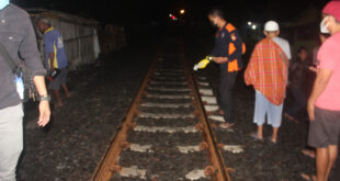 IMG-20231123-WA0050