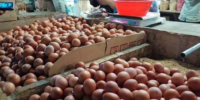 Di Pasar Cikurubuk Tasikmalaya Harga Telur Terus Mengalami Kenaikan