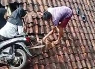 Viral Bocah SD Bawa Motor terbang Hantam Genteng Warga
