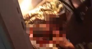 Foto tangkapan layar bayi yang dibuang di lahan kebun Hahawuan, Desa Neglasari Kecamatan Cipatujah Kabupaten Tasikmalaya, Jawa Barat, Rabu Siang (6/11/24).