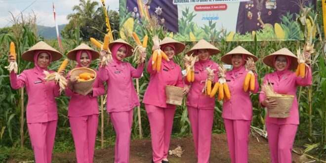5 Ton Jagung dari Salawu, Sinergi Polri-Petani Berbuah Manis