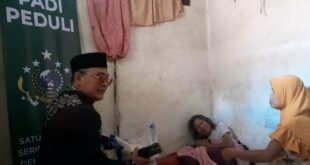IMG-20250928-WA0017